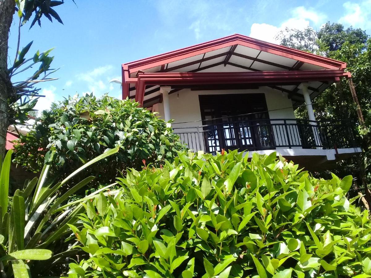 Paddy Field Villa Midigama-Est Extérieur photo