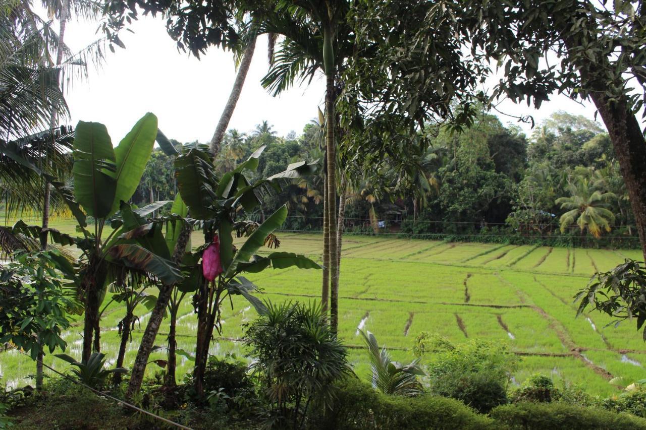 Paddy Field Villa Midigama-Est Extérieur photo