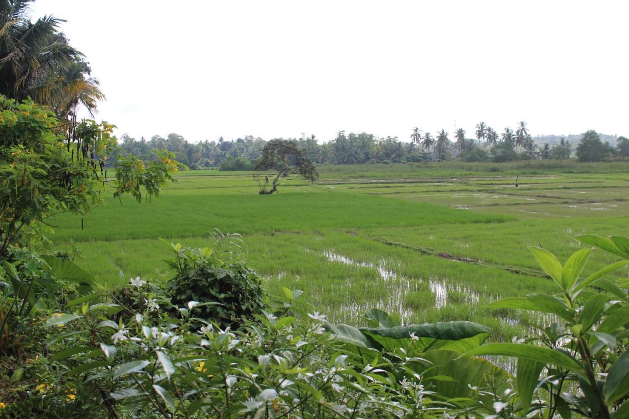 Paddy Field Villa Midigama-Est Extérieur photo