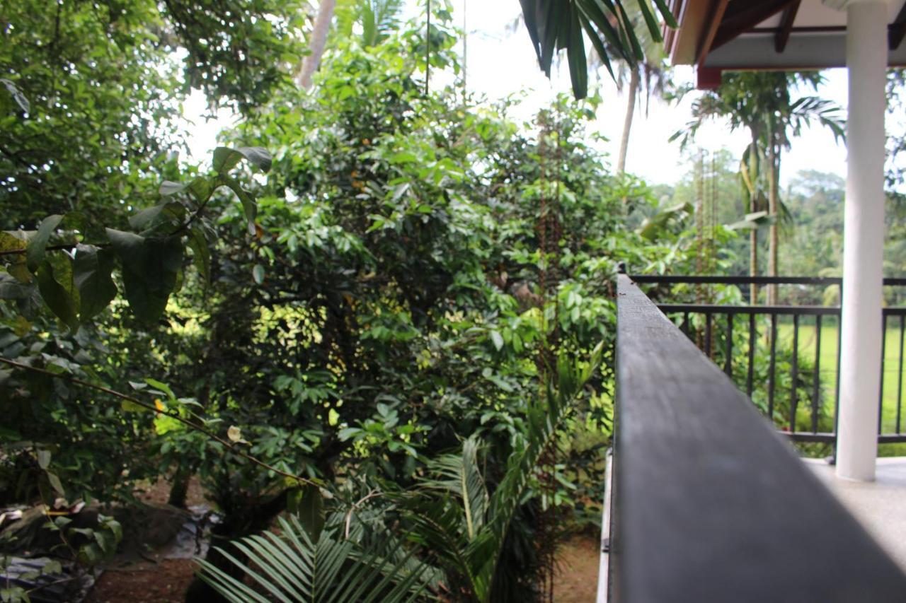 Paddy Field Villa Midigama-Est Extérieur photo